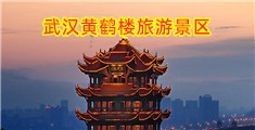 男人操女网站