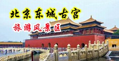 大鸡吧日少妇中国北京-东城古宫旅游风景区